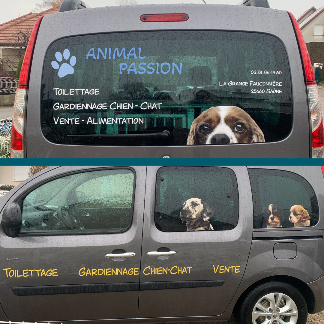 Flocage sur un véhicule Kangoo gris. Graphisme réalisé par l'agence de communication Okami pour Animal Passion. L'arrière et le côté gauche du véhicule sont visibles sur deux photos différentes. Des photos de chiens détourées sont positionnées sur les vitres, comme si les chiens étaient réellement dans le véhicule. Le logo en couleur, les services et les coordonnées en blanc sont visibles sur la vitre arrière. Les services sont également inscrits en jaune sur le côté, sur les portes, en dessous des vitres.