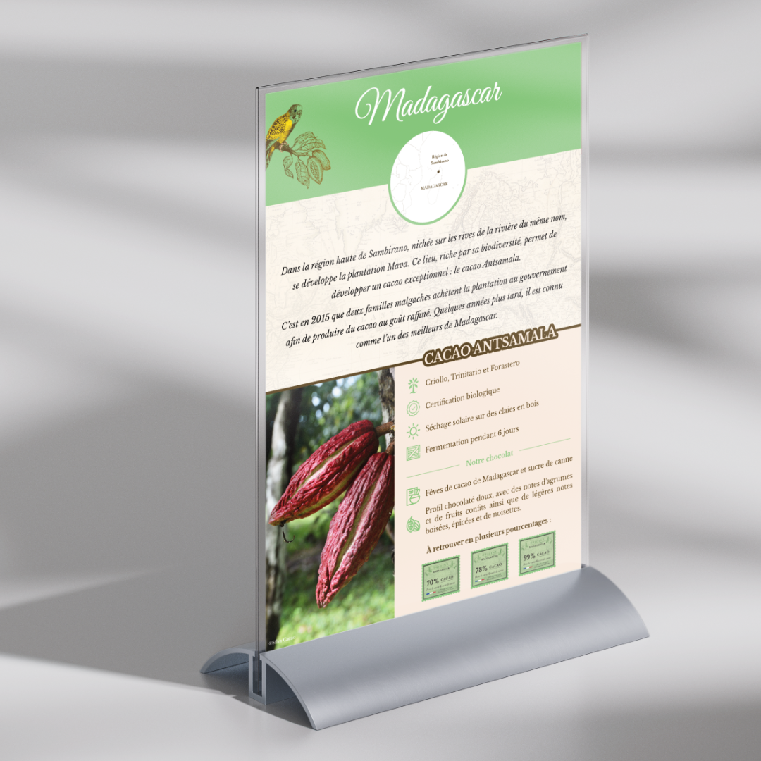 Affiche publicitaire verticale présentant le cacao de Madagascar. En haut, le mot 'Madagascar' est écrit en lettres cursives blanches sur un fond vert clair, accompagné d'une illustration d'une perruche et de feuilles de cacao. Une carte de Madagascar indique la région de Sambirano. Le texte principal décrit la région de Sambirano, connue pour sa biodiversité et la culture du cacao exceptionnel Antsamala, développé par la plantation Mava. Depuis 2015, les familles locales produisent ce cacao de haute qualité. En bas à gauche, une photo montre des fèves de cacao rouges sur une branche. À droite, une liste énumère les caractéristiques du cacao Antsamala : variétés Criollo, Trinitario et Forastero, certification biologique, séchage solaire sur des claies en bois, fermentation de six jours, et notes de chocolat. Le profil du cacao inclut des saveurs de canne à sucre, fruits doux, agrumes, boisés, épices et noisettes. En bas, des icônes indiquent les pourcentages de cacao : 100%, 89%, 75% et 65%.