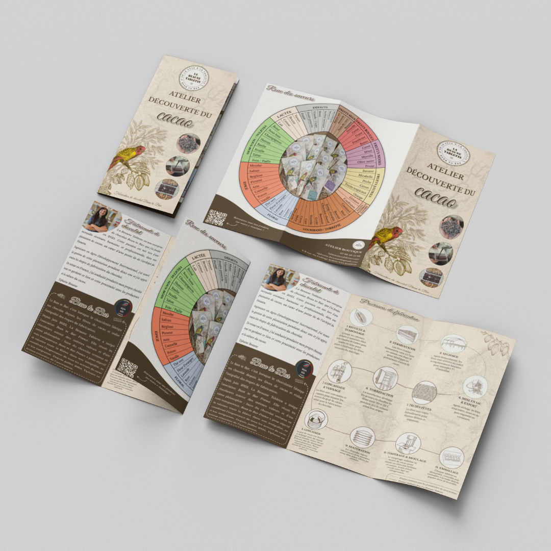Brochure dépliée et fermée de l’atelier découverte du cacao par La Beaune Tablette. L’image montre un dépliant à trois volets : la couverture illustrée avec un cacao coloré, l’intérieur avec une roue des saveurs du chocolat (tons vert, orange et violet), une présentation de l’atelier avec photo de l’animatrice, et une page expliquant les étapes de fabrication du chocolat avec des pictogrammes.