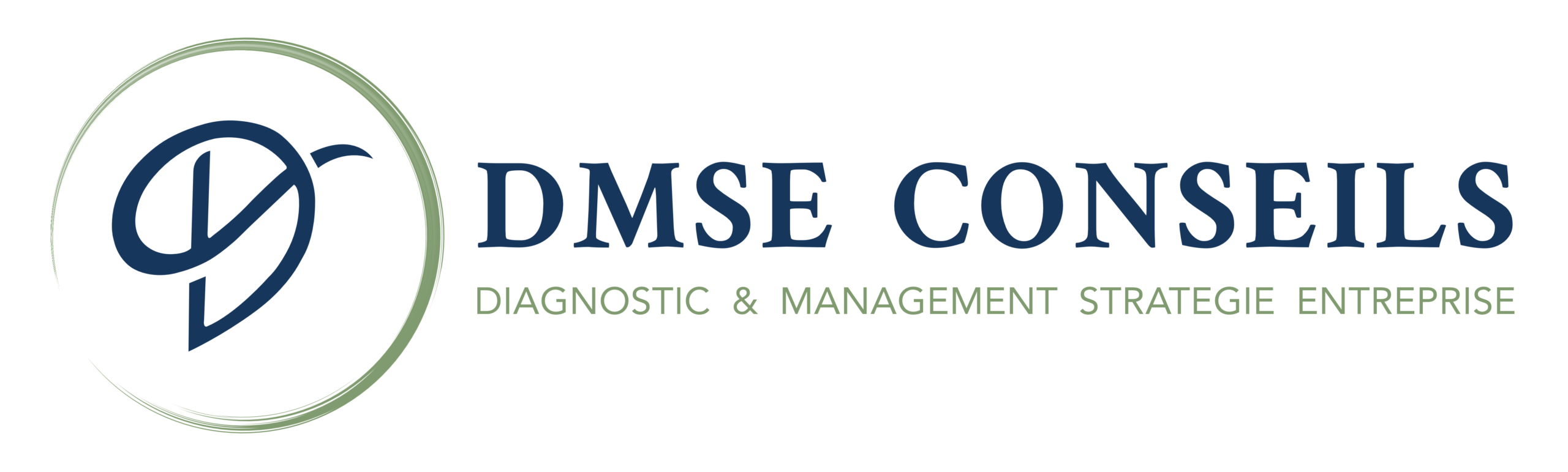 DMSE Conseils_Logo principal_Couleurs