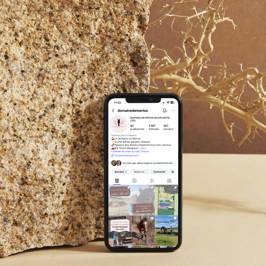 Réseaux sociaux_Domaine de Merise