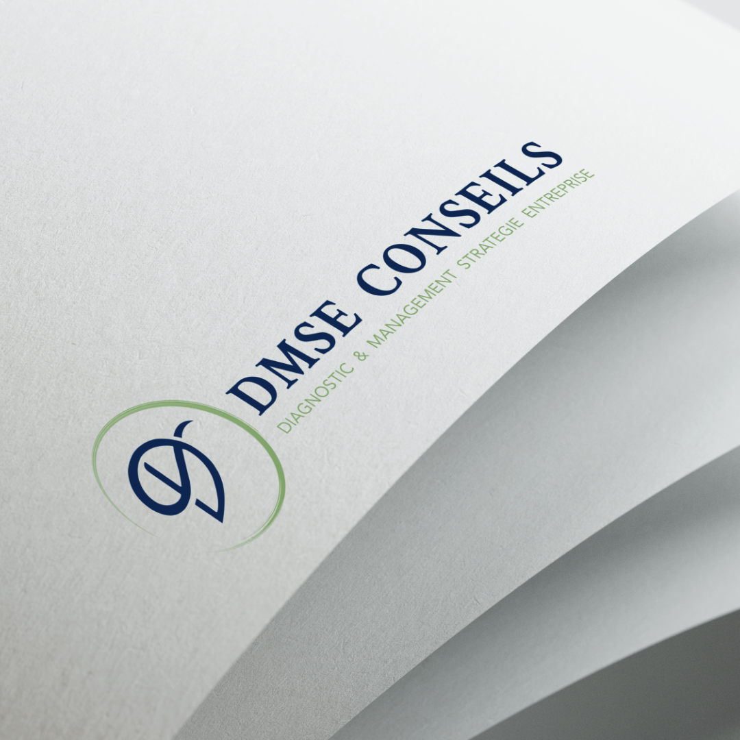 Logo_DMSE Conseils