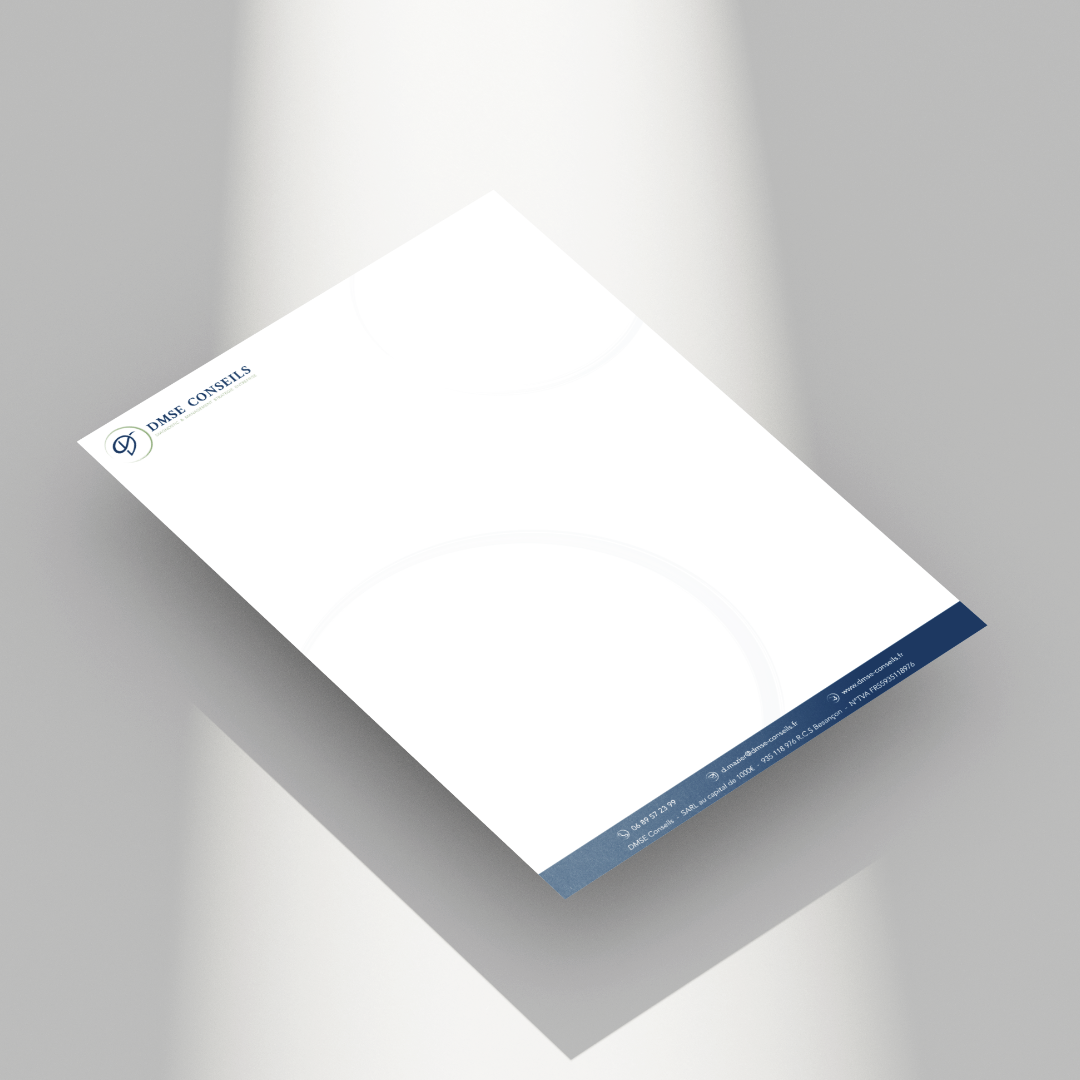 Papier en-tête_DMSE Conseils