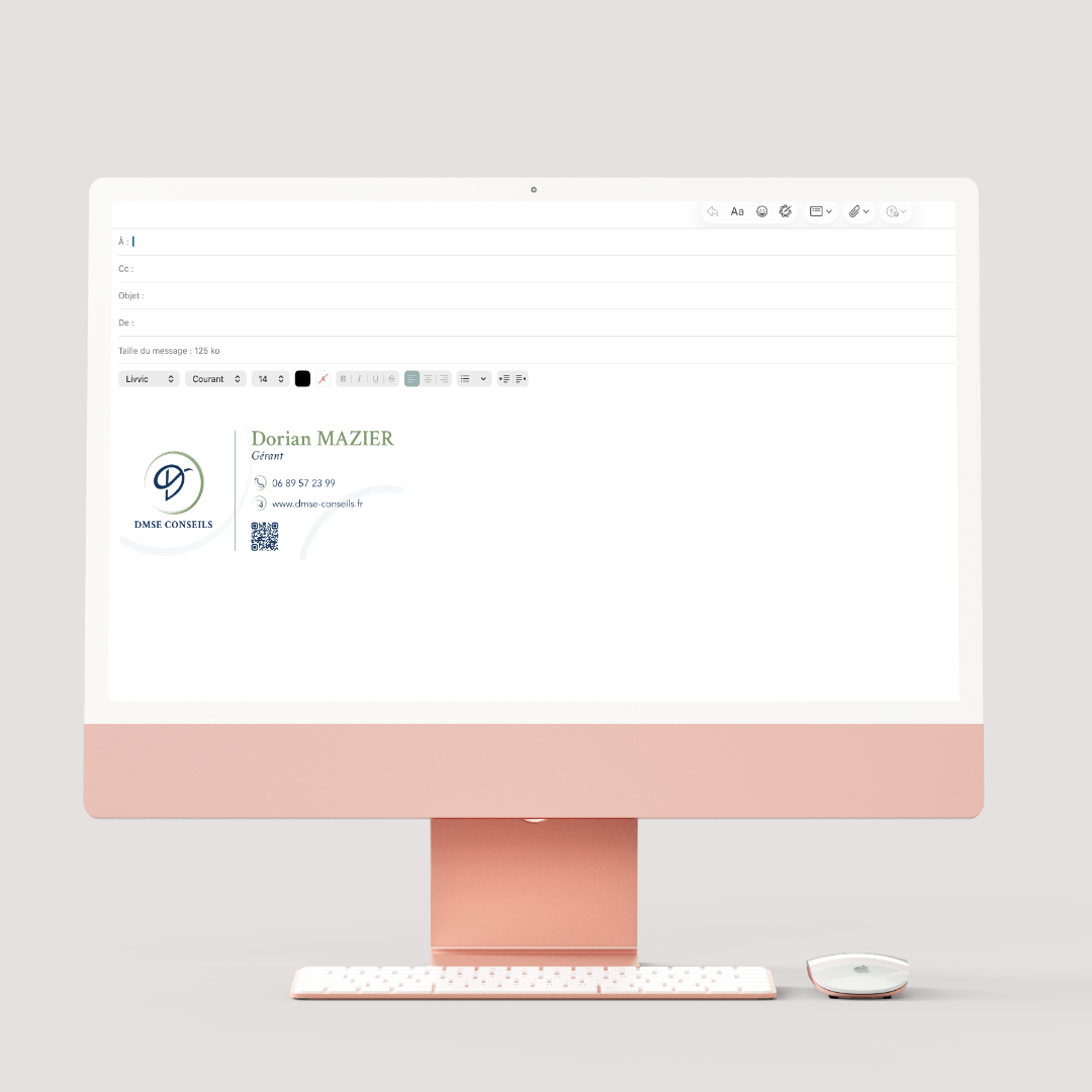 Signature de mail_DMSE Conseils